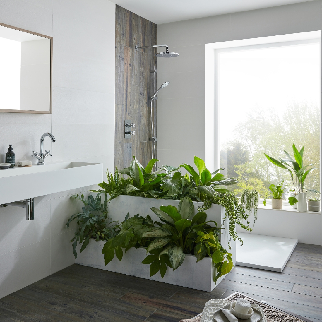 Bathroom Plants