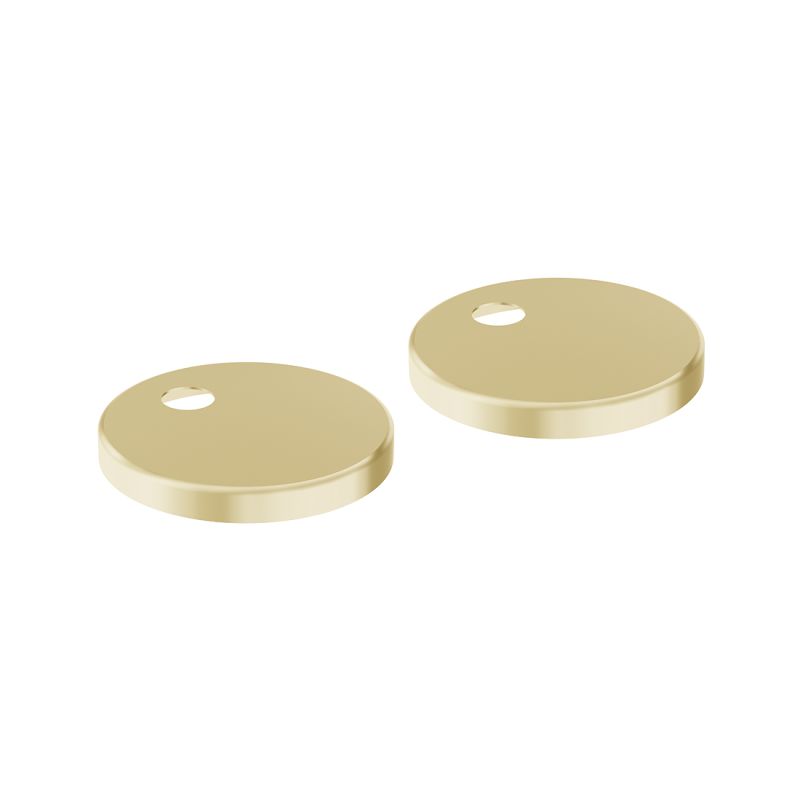 Toilet Seat Hinge Cover Plate Toilet Seat Hinge Cover Plate
