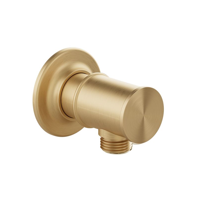 Booth & Co. Axbridge wall outlet, finished in brushed brass.