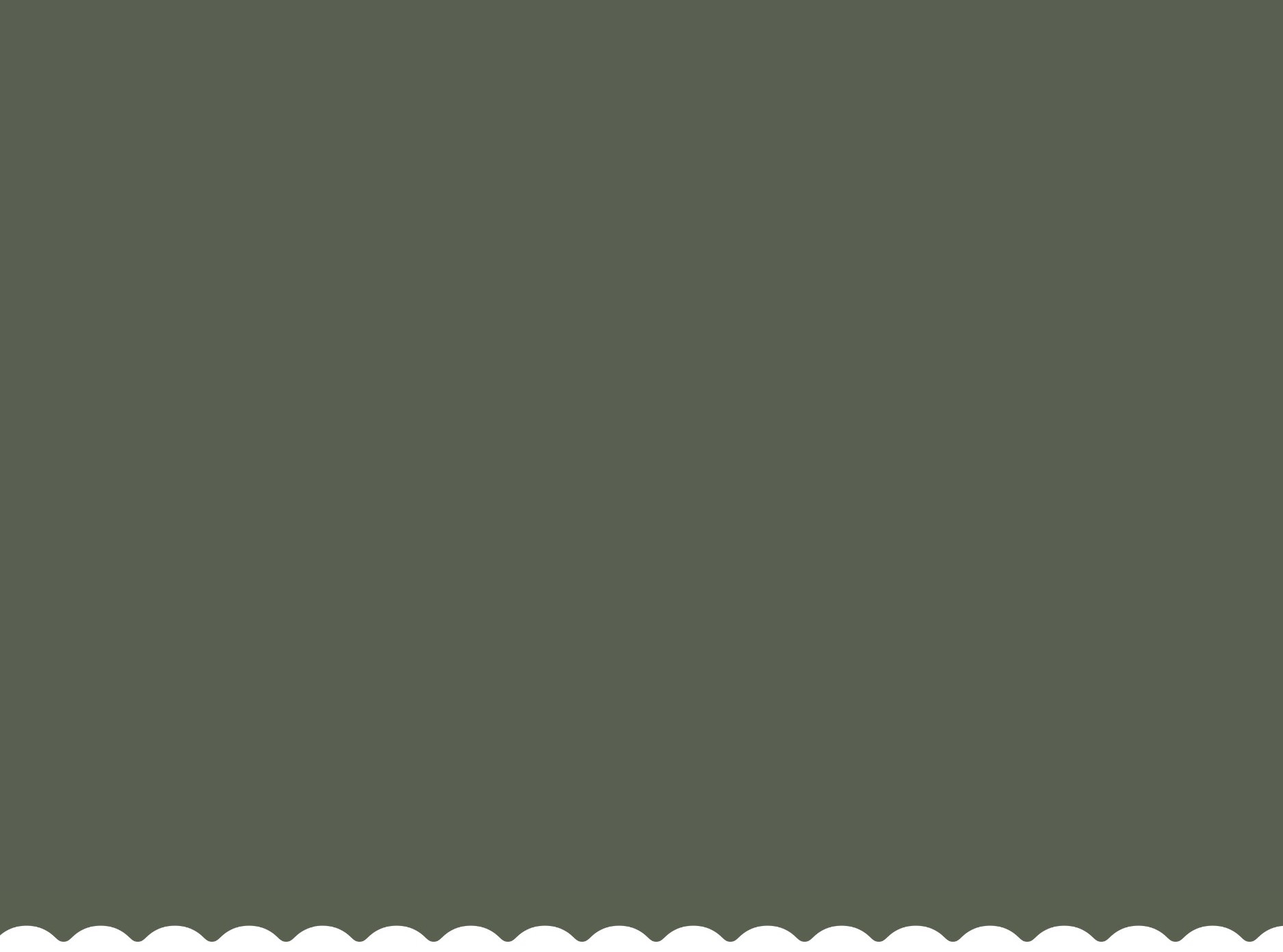Timeless Touches Email Wireframe